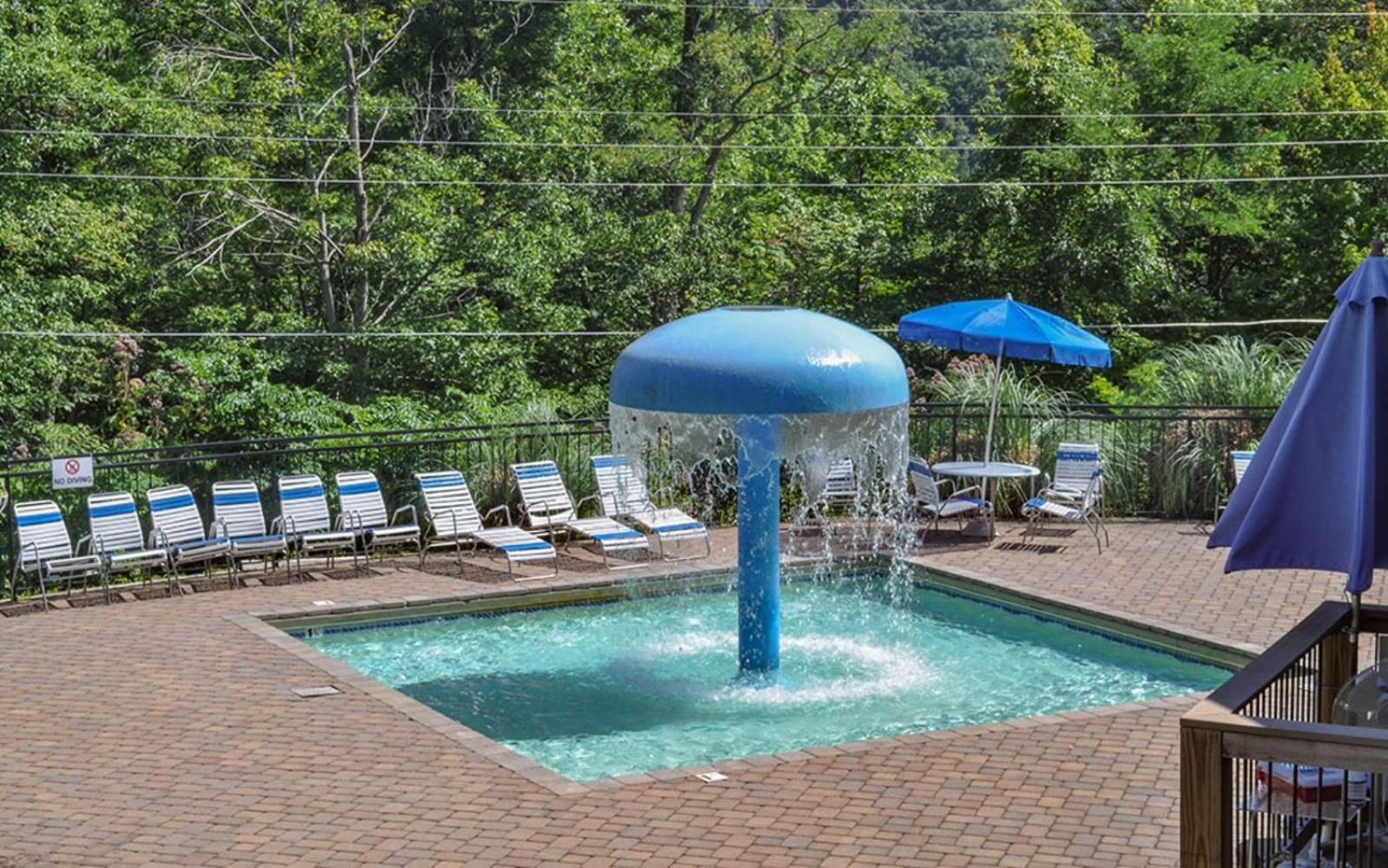 Cozy Bear 856 Βίλα Gatlinburg Εξωτερικό φωτογραφία