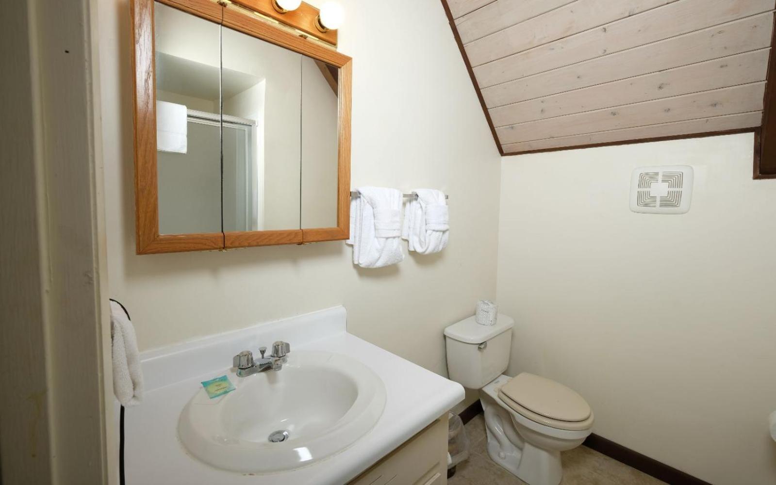Cozy Bear 856 Βίλα Gatlinburg Εξωτερικό φωτογραφία